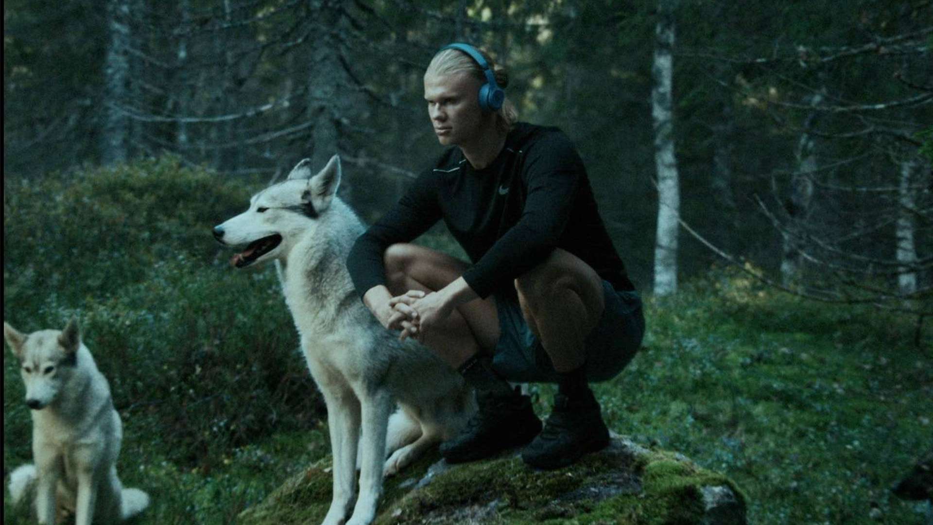 市场在全球 市场在全球